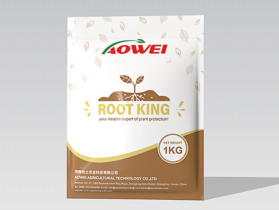 Root king